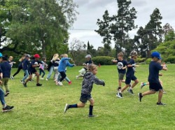 ZTag3 1751113502 ZTAG